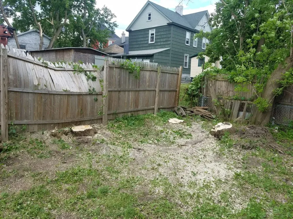 Reliable yard maintenance in Fulton, NY by All Pro Tree & Landscaping Service