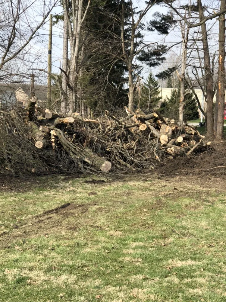 Custom garden landscaping for residential properties across Indianapolis, IN - All Pro Tree and Landscaping and Construction Team