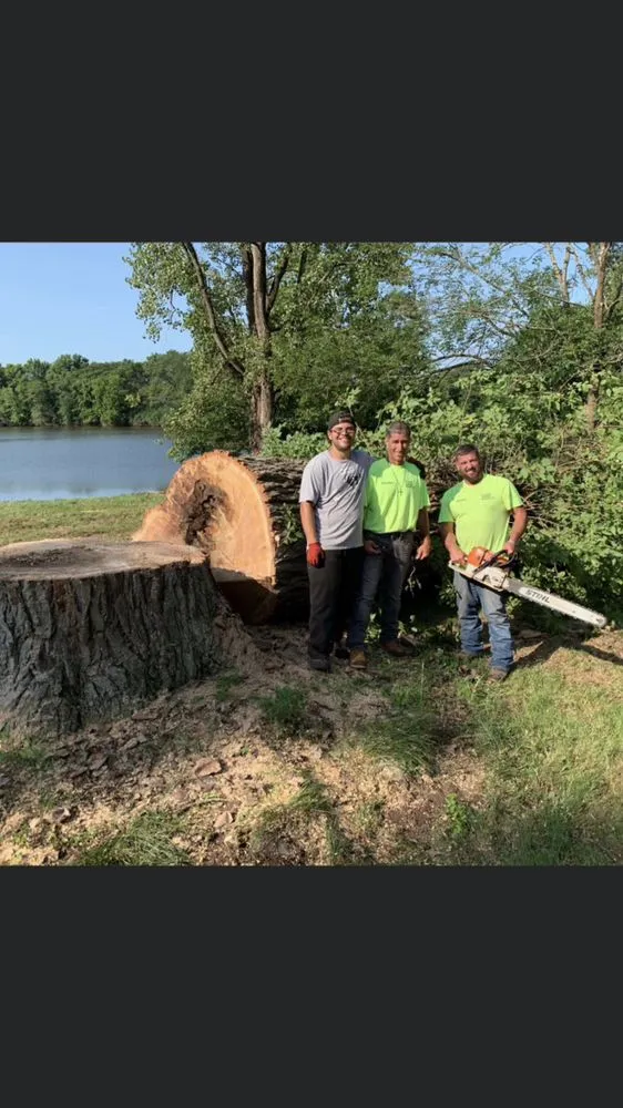 Local landscape design in Indianapolis, IN by All Pro Tree and Landscaping and Construction Team