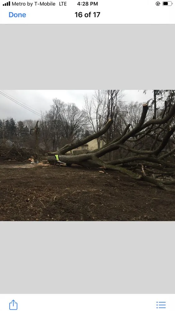 Reliable landscape design for year-round maintenance across Indianapolis, IN - All Pro Tree and Landscaping and Construction Team