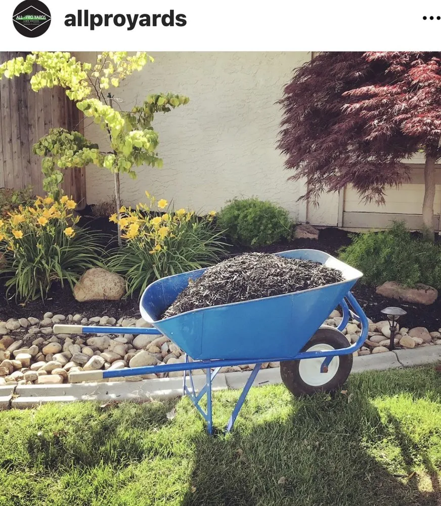 Custom landscaping services for beautiful yards across Herald, CA - All-Pro Yards