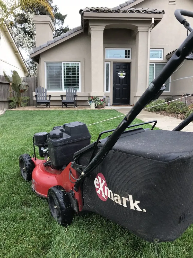 Trusted lawn care service in Herald, CA by All-Pro Yards