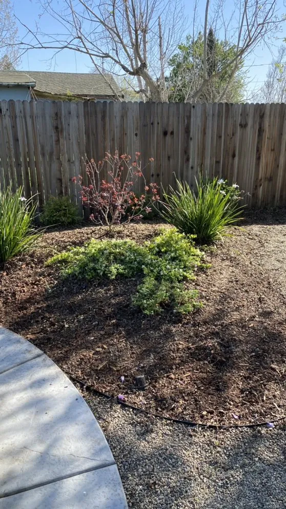 Affordable lawn mowing service in Herald, CA - All-Pro Yards