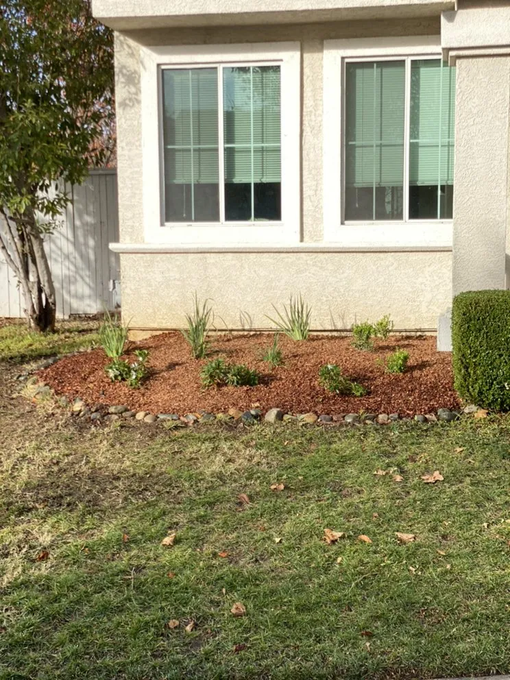 Trusted yard maintenance in Herald, CA - All-Pro Yards