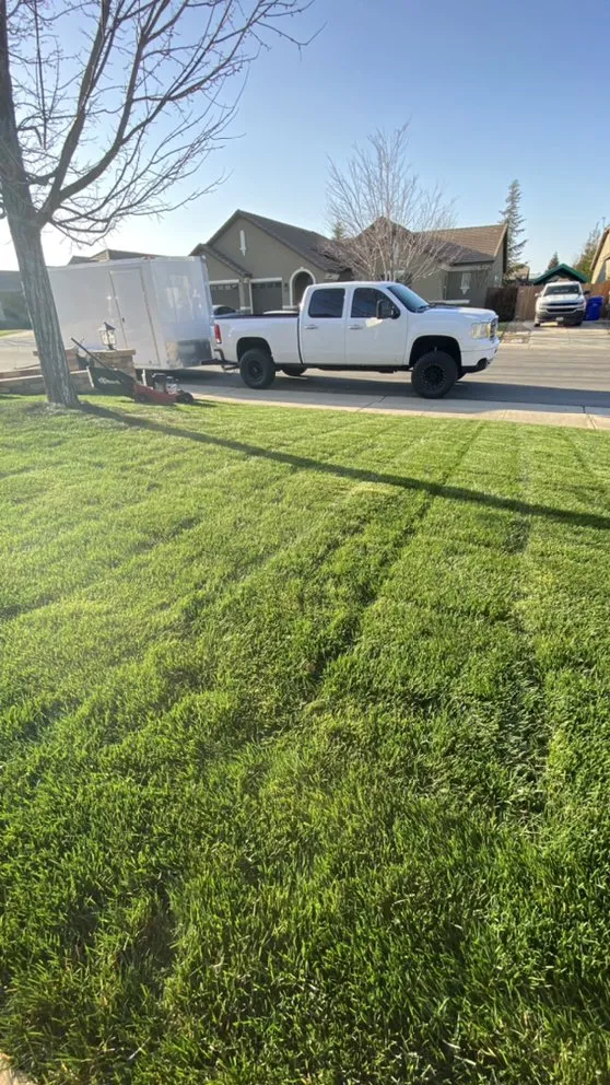 Local outdoor landscaping in Herald, CA by All-Pro Yards