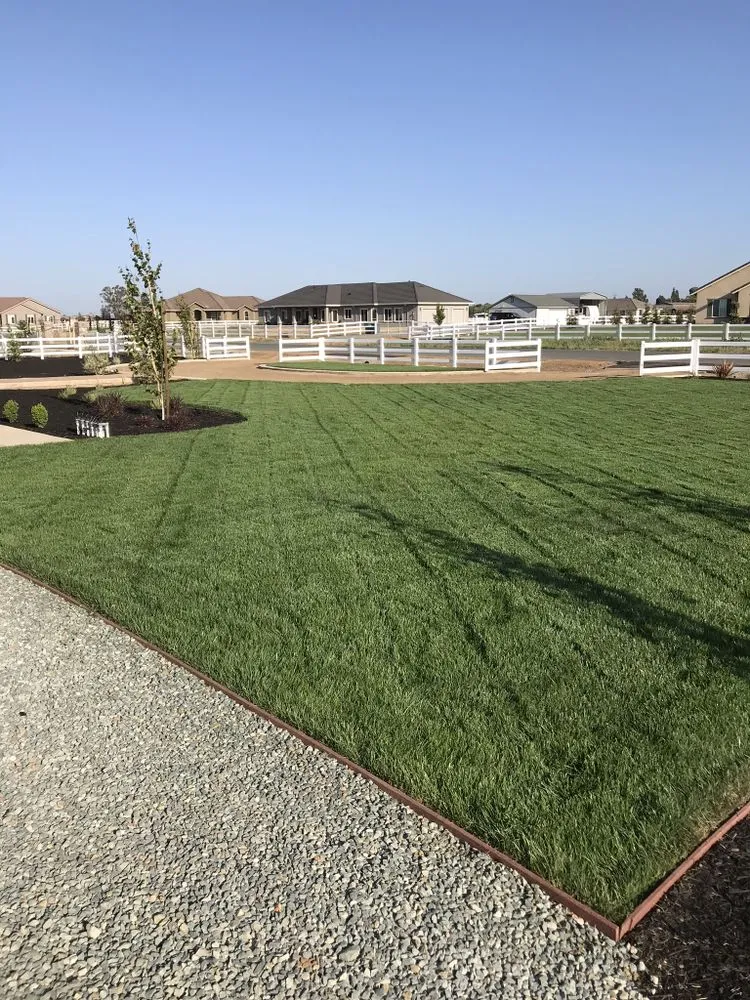 Professional garden landscaping near you across Herald, CA - All-Pro Yards
