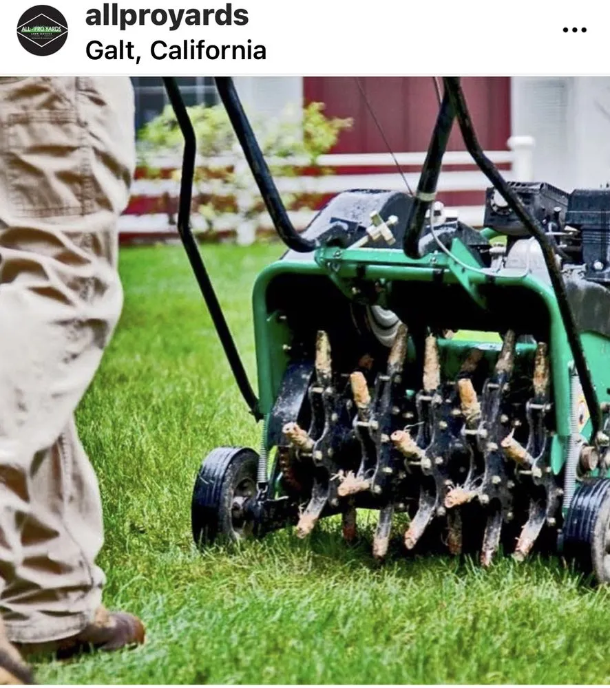 Affordable garden landscaping for outdoor upgrades in Herald, CA by All-Pro Yards