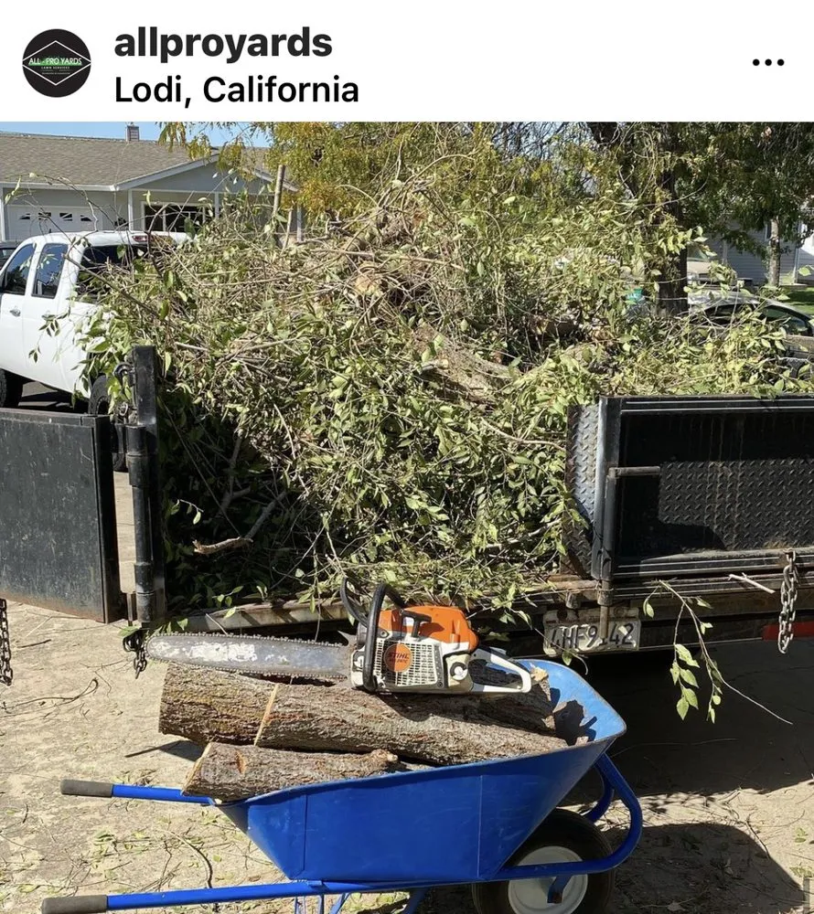 Top-rated yard cleanup service experts serving Herald, CA - All-Pro Yards