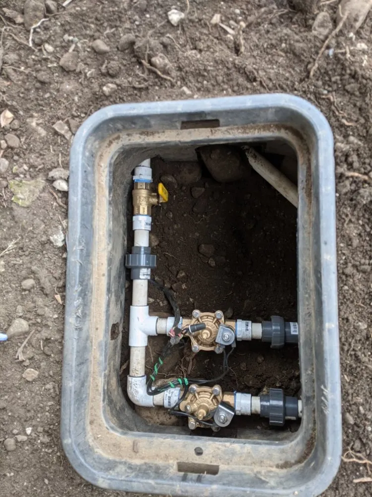 Reliable lawn care service in Rancho Cucamonga, CA by All Professional Landscape