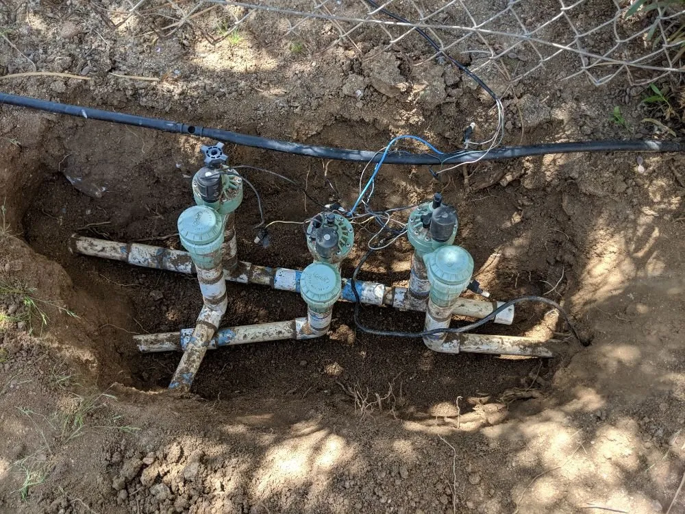 Custom yard cleanup service experts serving Rancho Cucamonga, CA - All Professional Landscape