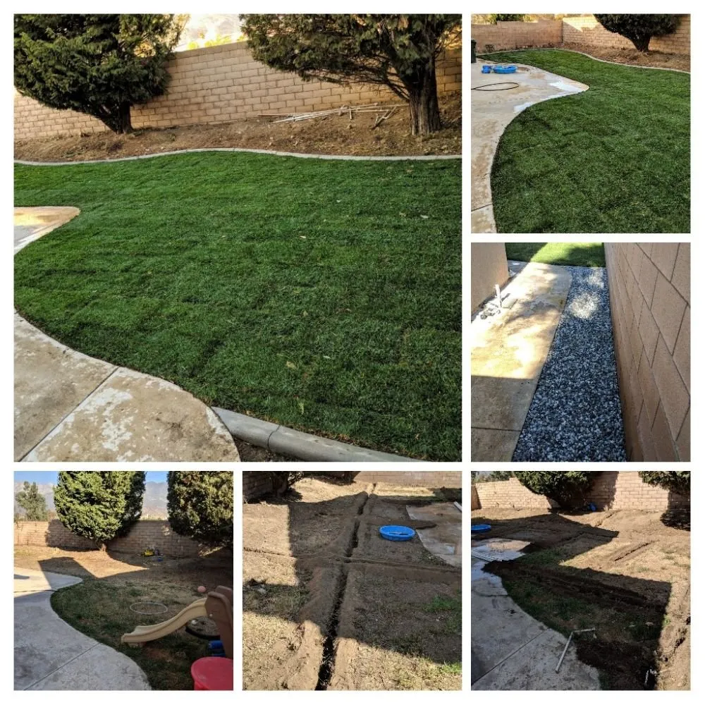 Expert landscaping services in Rancho Cucamonga, CA by All Professional Landscape