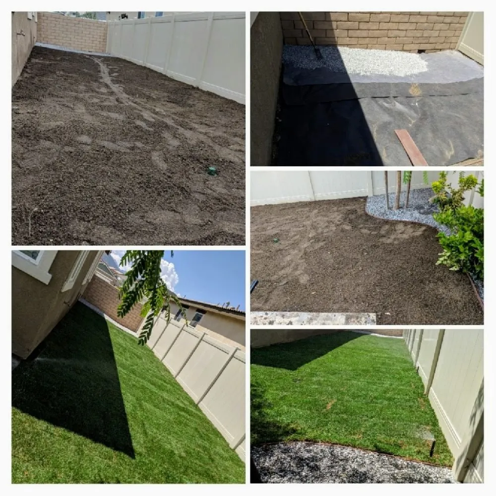 Affordable landscape design in Rancho Cucamonga, CA by All Professional Landscape