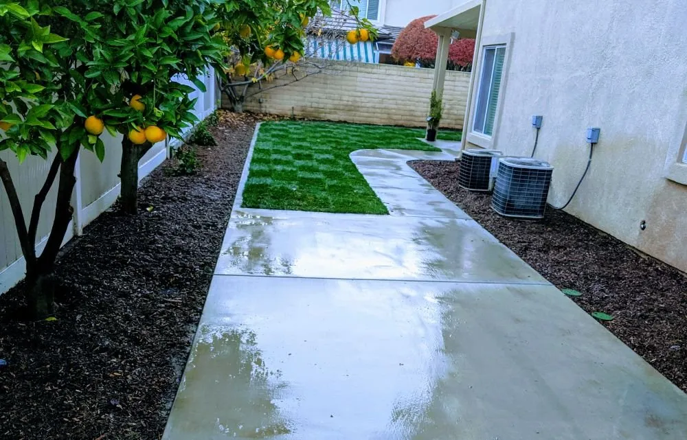 Trusted yard cleanup service for beautiful yards across Rancho Cucamonga, CA - All Professional Landscape