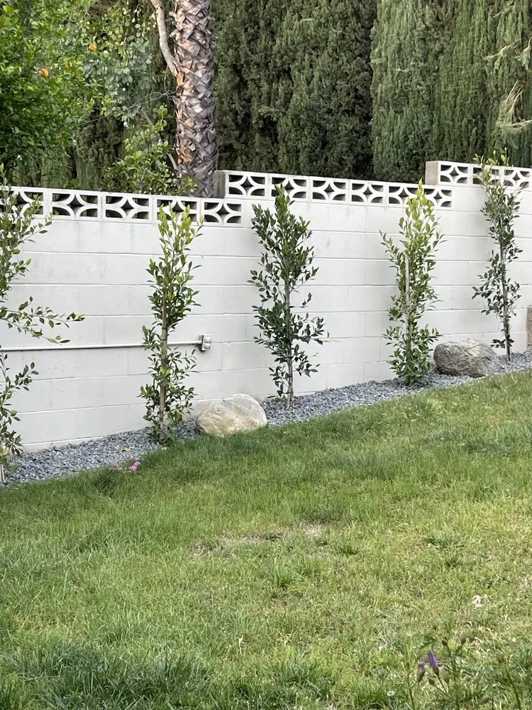 Trusted lawn mowing service near you across Rancho Cucamonga, CA - All Professional Landscape