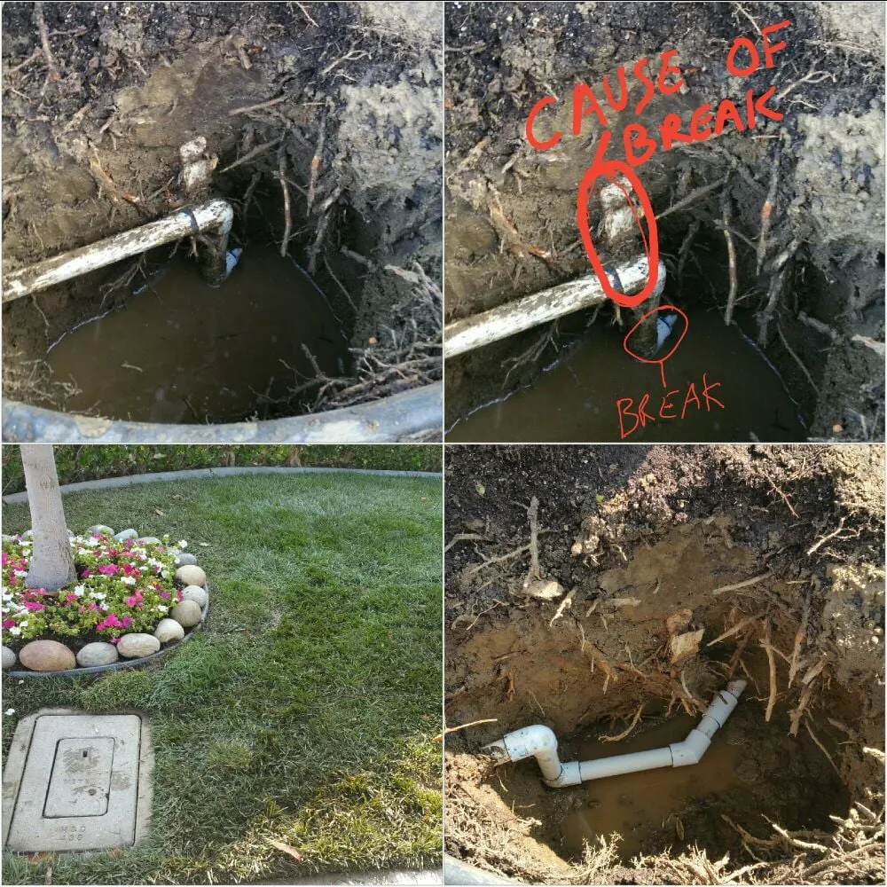 Top-rated yard maintenance experts serving Rancho Cucamonga, CA - All Professional Landscape