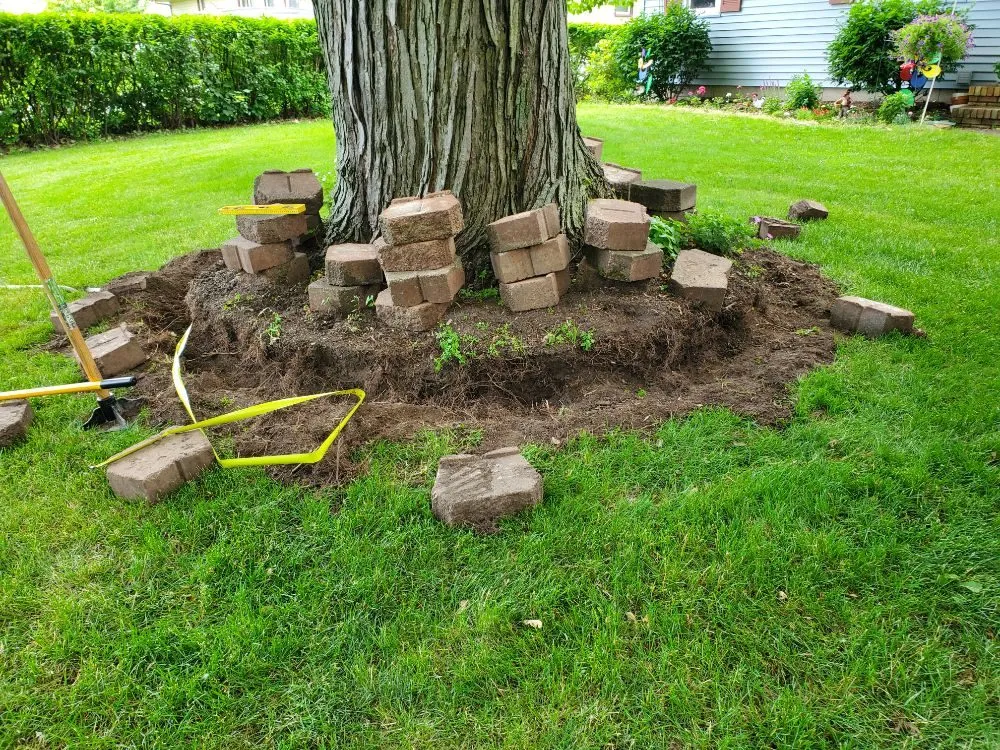 Professional outdoor landscaping in Rochester, NY - All Property Maintenance