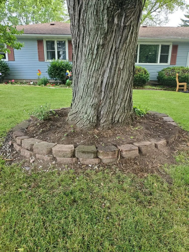 Expert lawn care service in Rochester, NY - All Property Maintenance