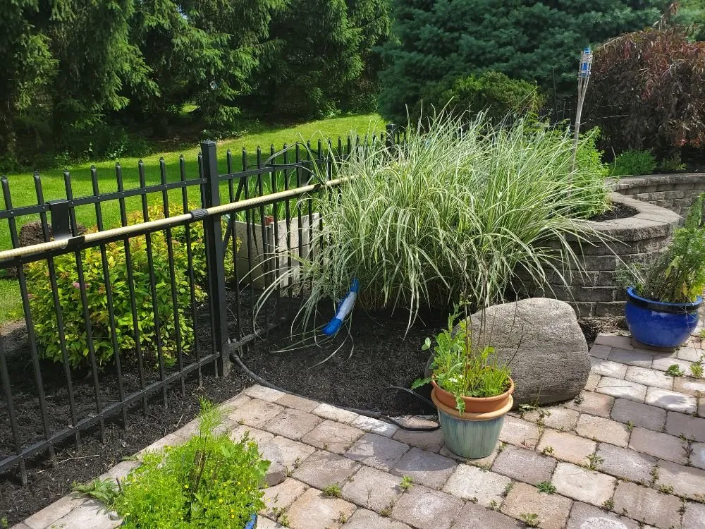 Reliable landscape installation in Rochester, NY by All Property Maintenance