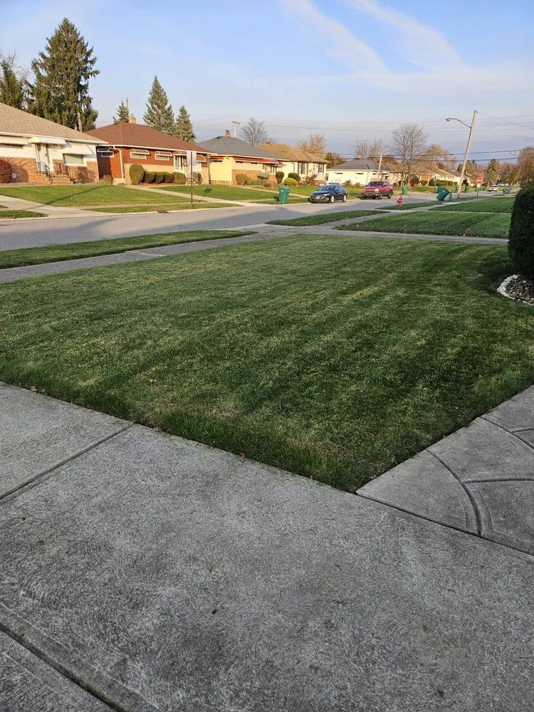 Expert landscape design experts serving Cleveland, OH - All Purpose