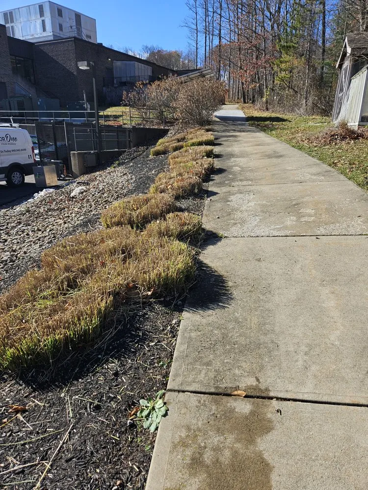 Trusted lawn care service for beautiful yards in Cleveland, OH by All Purpose