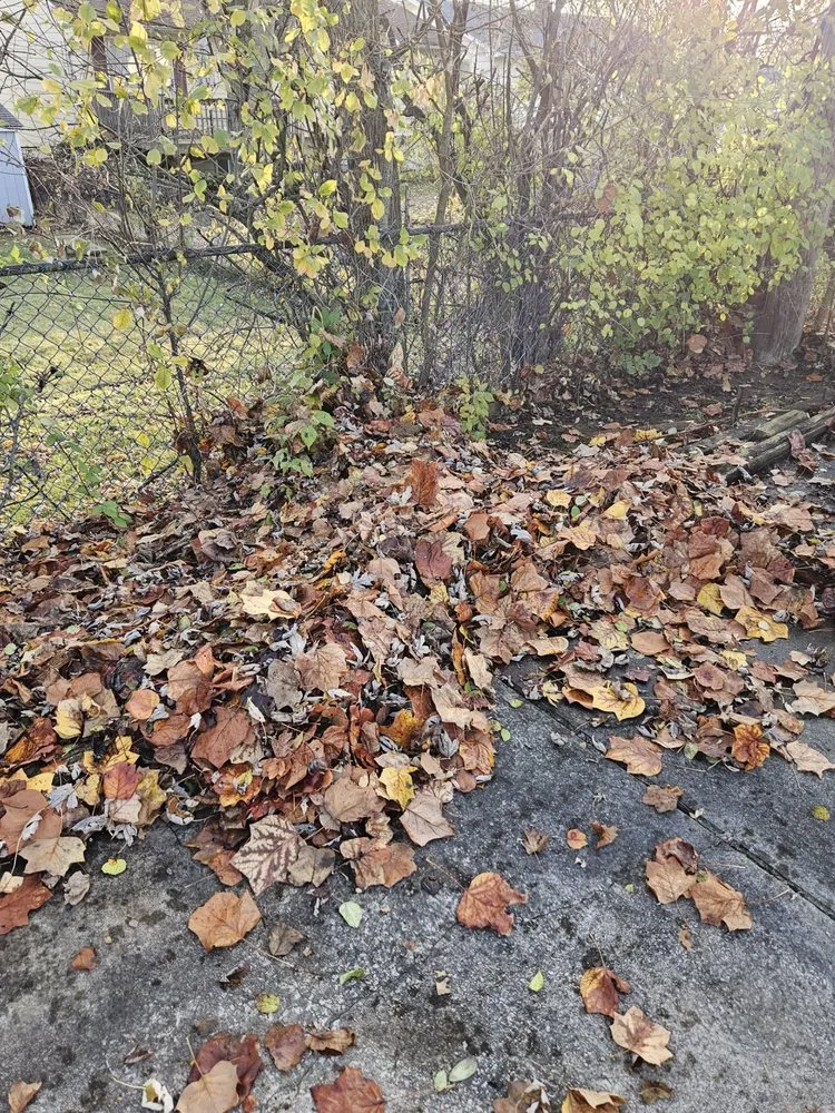 Reliable landscape installation experts serving Cleveland, OH - All Purpose