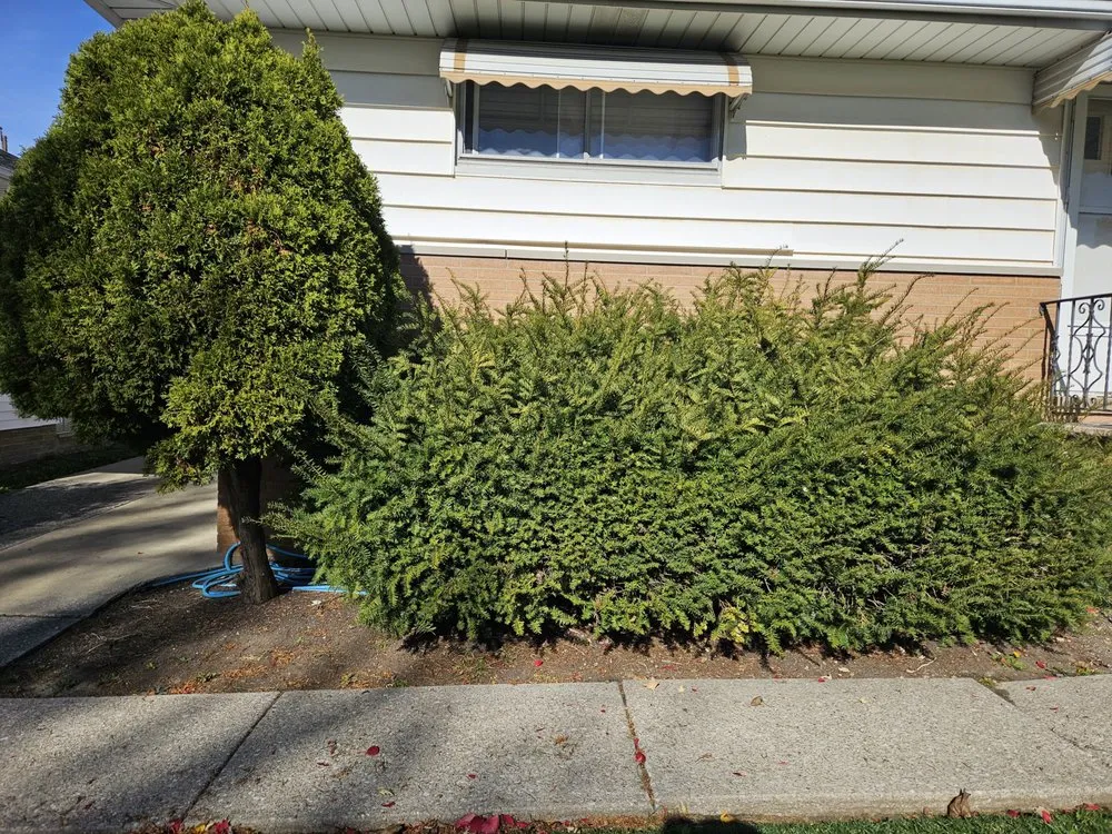 Local garden landscaping in Cleveland, OH by All Purpose