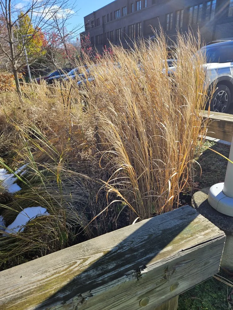 Top-rated outdoor landscaping for outdoor upgrades in Cleveland, OH by All Purpose