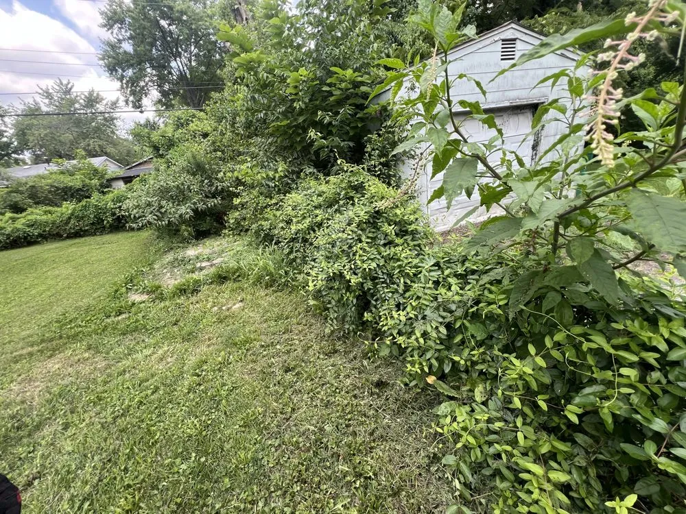 Professional lawn mowing service for year-round maintenance across Florissant, MO - All Purpose Hurst & Sons