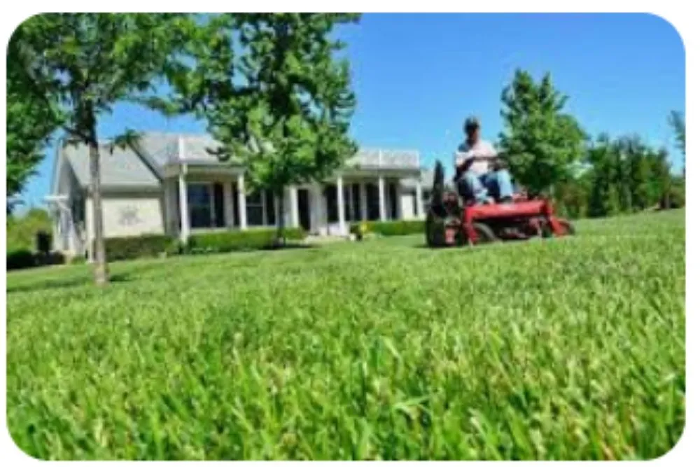 Custom yard maintenance in Wilmington, DE by All Purpose Lawn Care