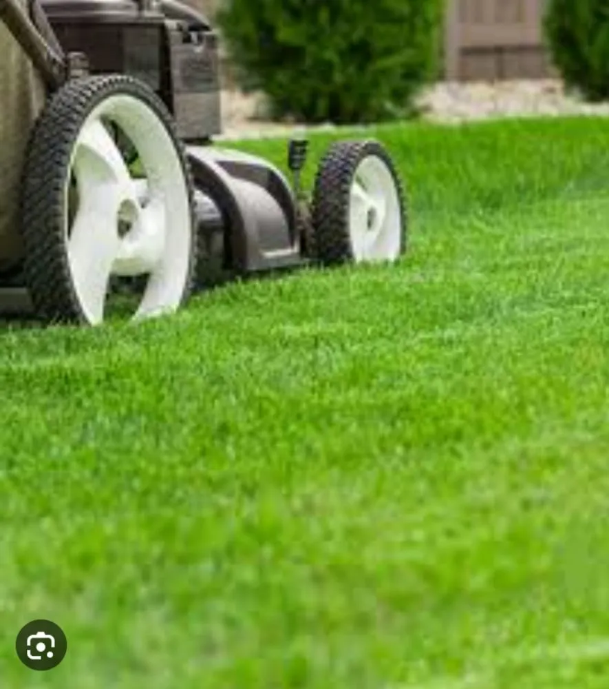 Local landscaping services for year-round maintenance across Wilmington, DE - All Purpose Lawn Care