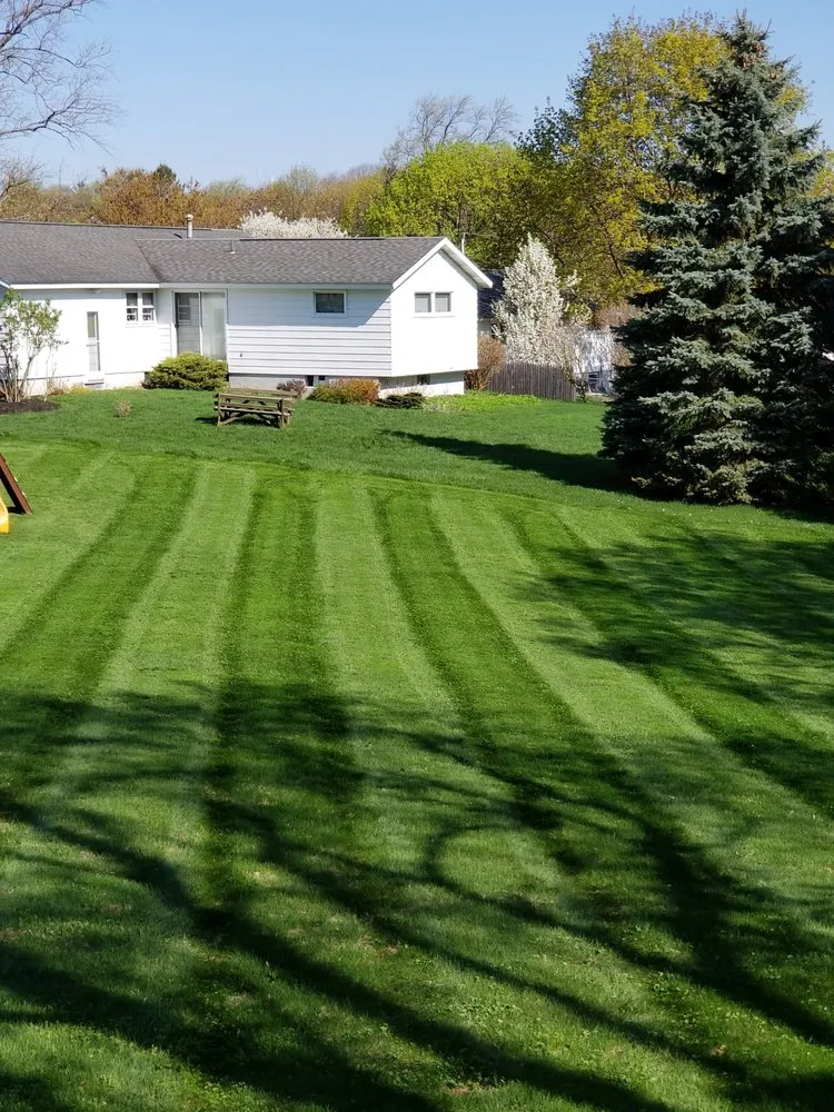 Trusted yard maintenance near you across Liverpool, NY - All Purpose Property Services