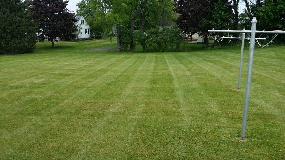Affordable yard maintenance in Liverpool, NY by All Purpose Property Services