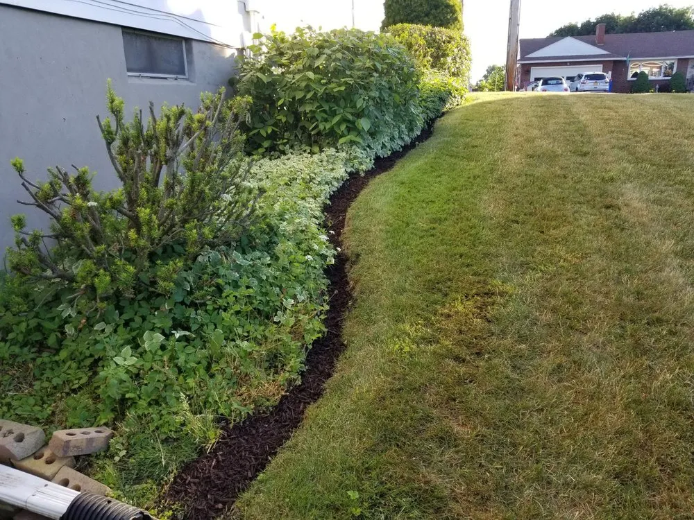Professional yard maintenance in Liverpool, NY by All Purpose Property Services