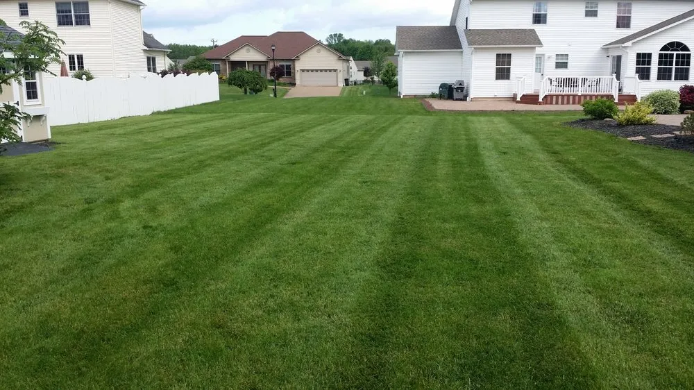 Reliable residential landscaping in Liverpool, NY by All Purpose Property Services