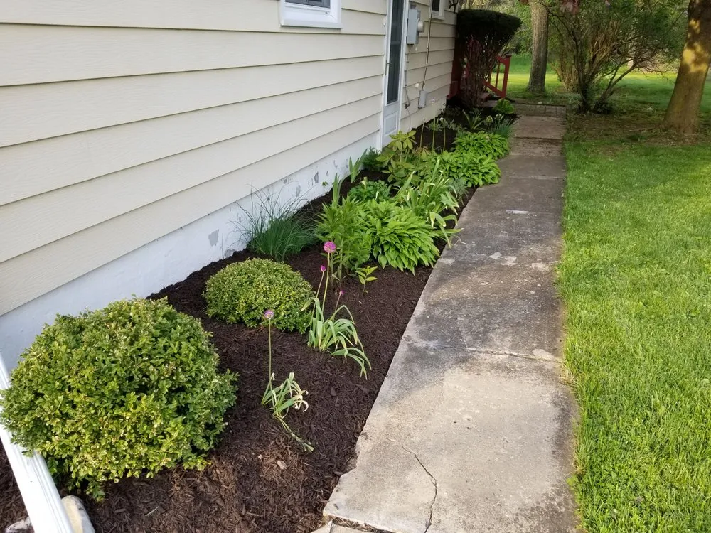 Trusted lawn care service in Liverpool, NY by All Purpose Property Services