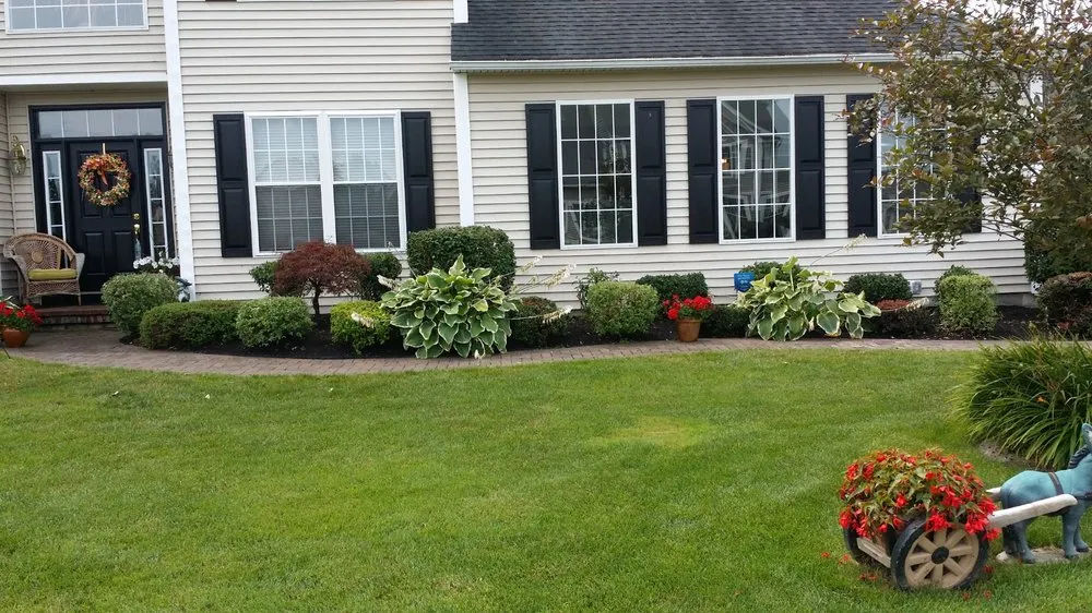 Trusted yard cleanup service in Liverpool, NY - All Purpose Property Services