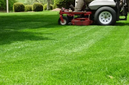 Reliable lawn mowing service with custom design in Temple Hills, MD by All Purpose