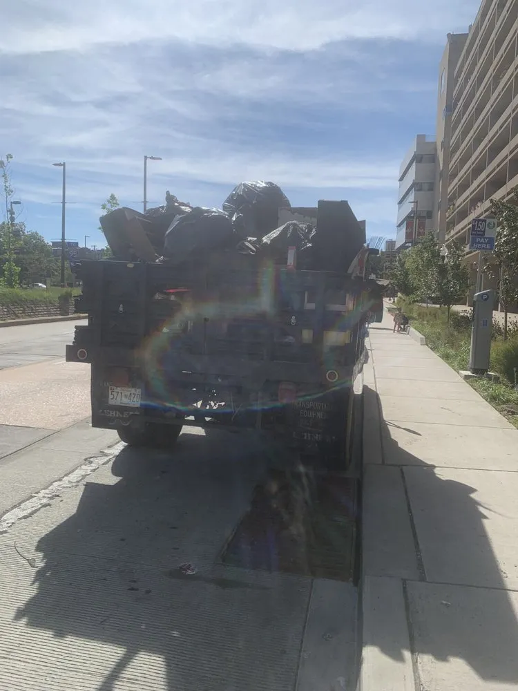 Affordable landscape design for residential properties in Baltimore, MD by All Purpose Workerz