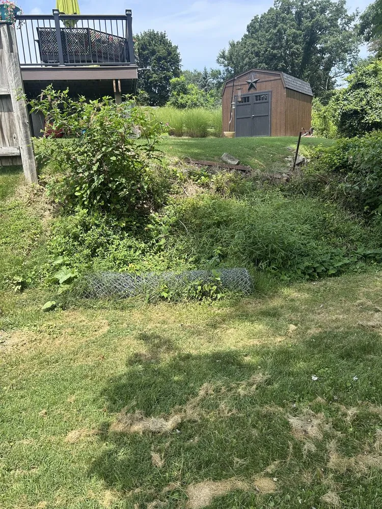 Reliable lawn care service in West Mifflin, PA - All Quality Services