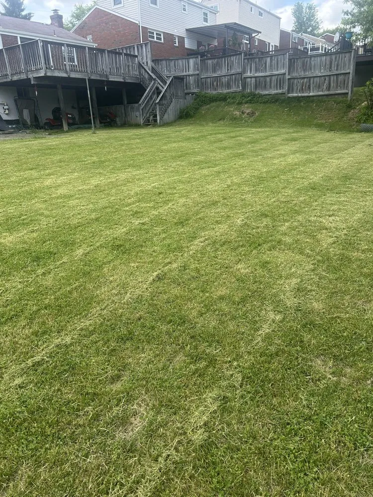 Trusted landscape installation experts serving West Mifflin, PA - All Quality Services