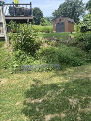 All Quality Services Logo