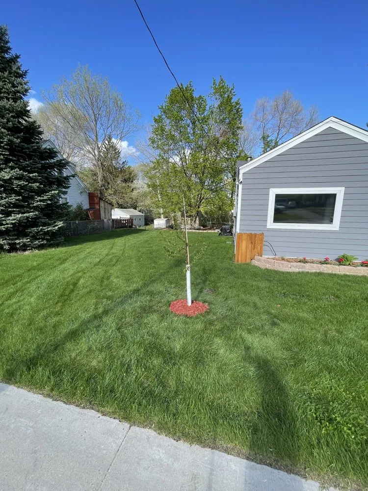 Local landscaping services near you in Inver Grove Heights, MN by All Round Contracting