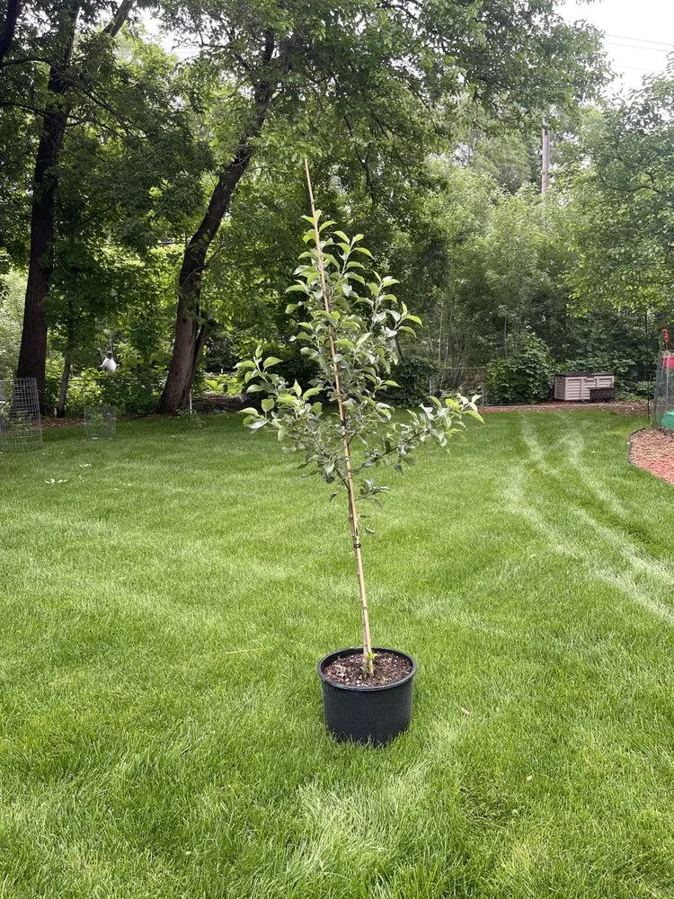 Custom landscape design in Inver Grove Heights, MN - All Round Contracting