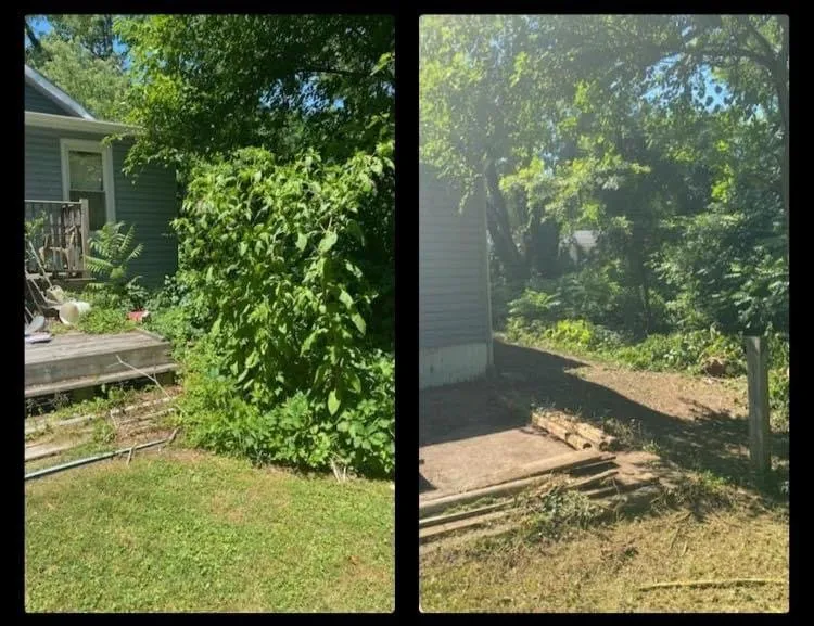 Professional lawn mowing service in Canton, OH by All-round home and lawn care