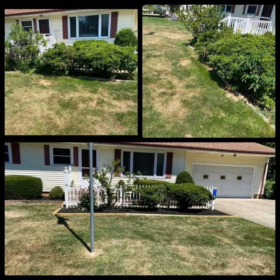 Professional garden landscaping for year-round maintenance across Canton, OH - All-round home and lawn care