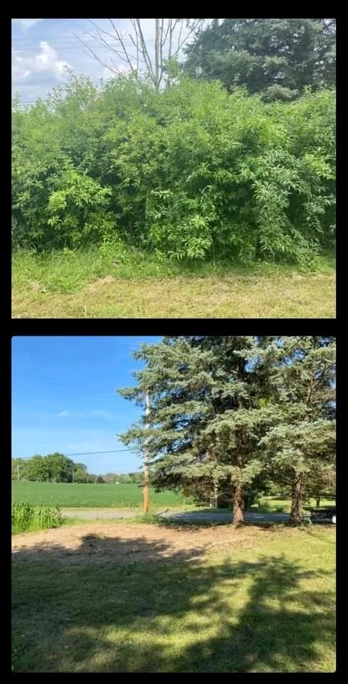 Affordable lawn care service for residential properties across Canton, OH - All-round home and lawn care