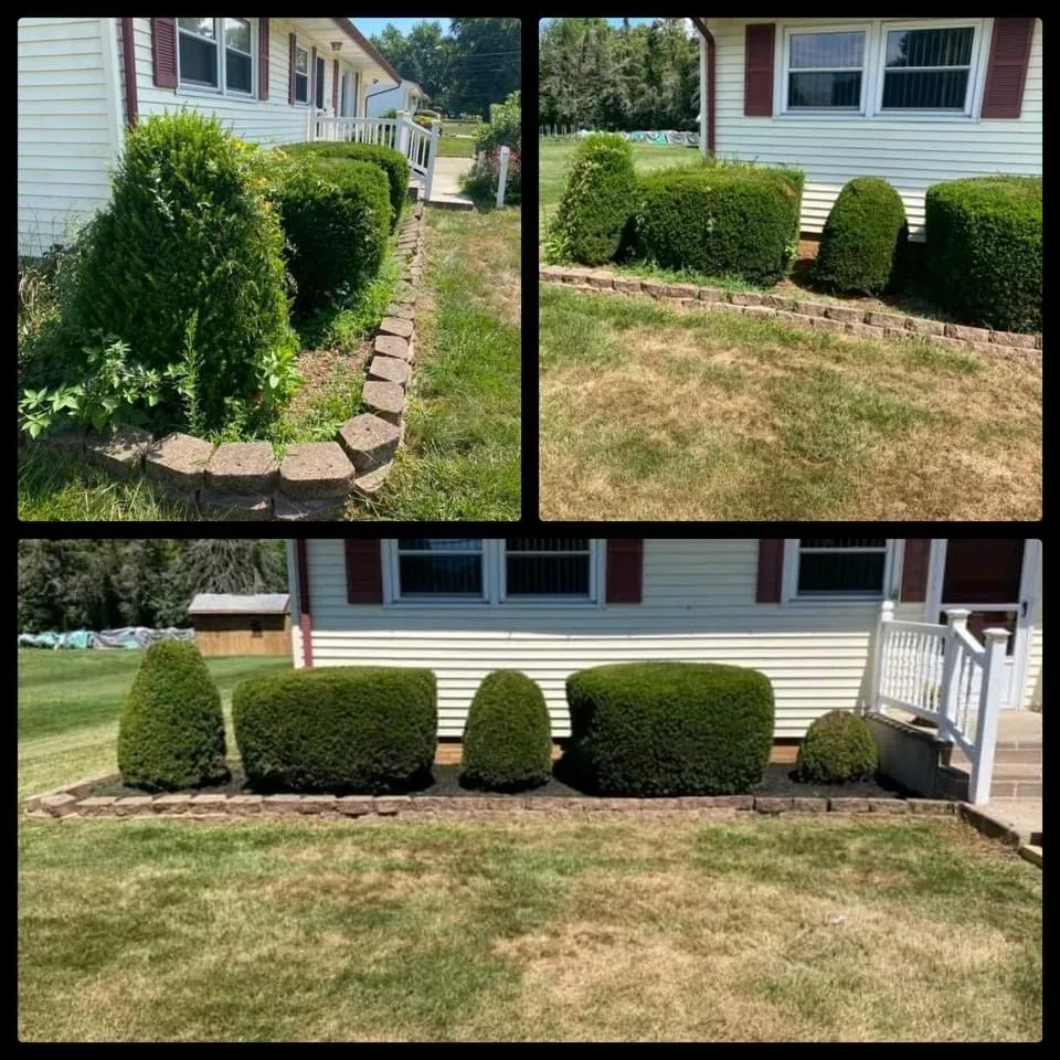 Expert landscape design for year-round maintenance across Canton, OH - All-round home and lawn care