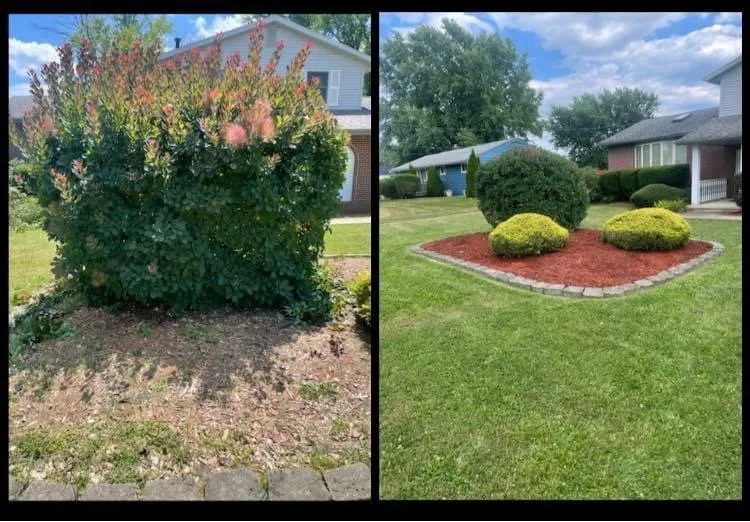 Local landscaping services for homes in Canton, OH by All-round home and lawn care