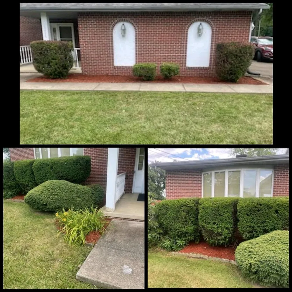 Trusted yard maintenance for homes in Canton, OH by All-round home and lawn care