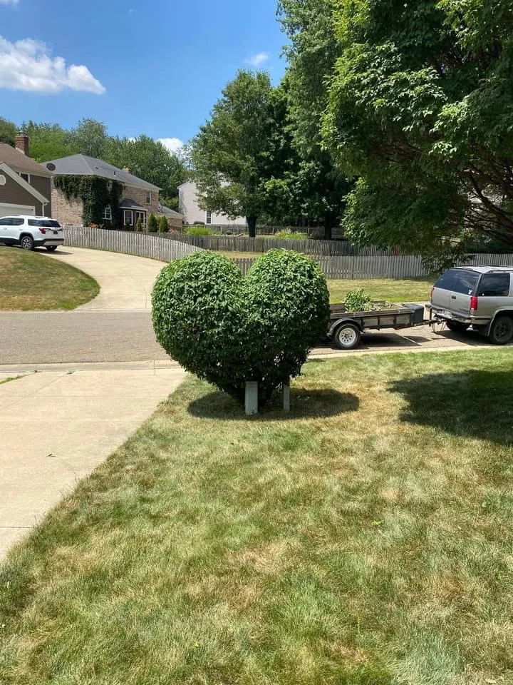 Trusted landscape design in Canton, OH - All-round home and lawn care